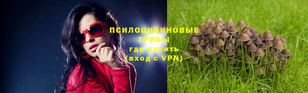 mdma Краснослободск