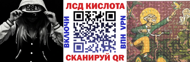 дарнет шоп  Райчихинск  Наркотические марки 1,8мг 